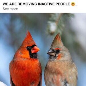 Meet your Posher, Bonnie